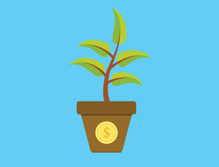 invest investment tree with money gold coins growth plant