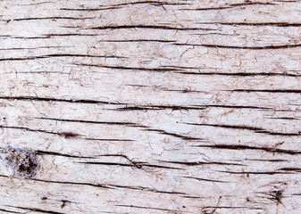 Old wood texture covered with cracks