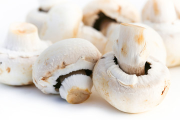 Champignons