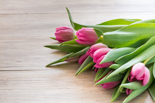 Tulpen zum Muttertag