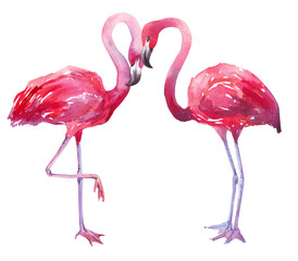 Naklejka premium akwarela ilustracja flaminga