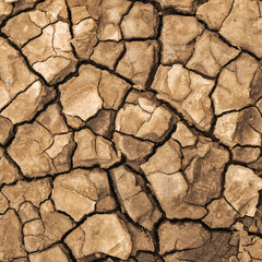 Mud on a beach which has dried and cracked