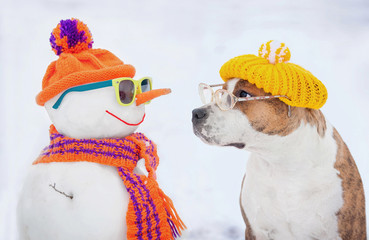 Dog with glasses and hat looking at funny dressed snowman