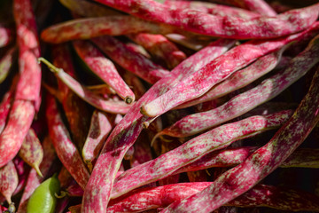 Purple eating beans