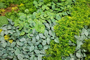 Artificial Vertical Gardens with Fake Plants on Walls