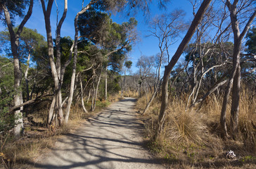 Landscape view of path in the outback bush of Australia