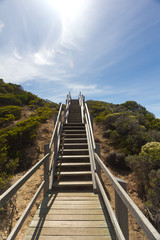 Fototapeta na wymiar Stairs along the coast of Cape Schanck