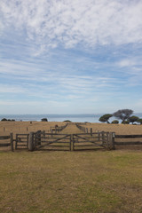 Wooden fence and gate in farm