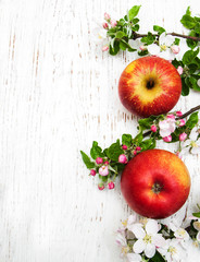 apple and apple tree blossoms