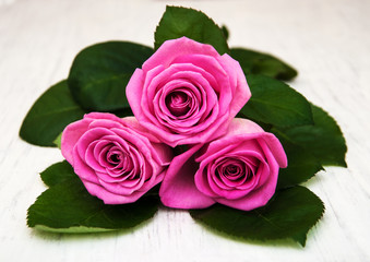 Pink roses