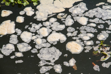 Dirty toxic scum industry effluent water in the river