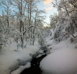 Winter forest. Winter landscape after heavy snowfall