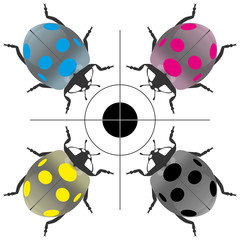 cmyk40 CyanMagentaYellowKey - prs4 PrintingRegistrationSign - c m y k circle coccinellidae - g4265