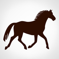 Horse logo. Vector illustration.