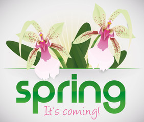Spring it's Coming and Orchids are Blooming, Vector Illustration