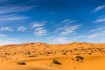 Fototapeta na wymiar Sahara desert, Morocco