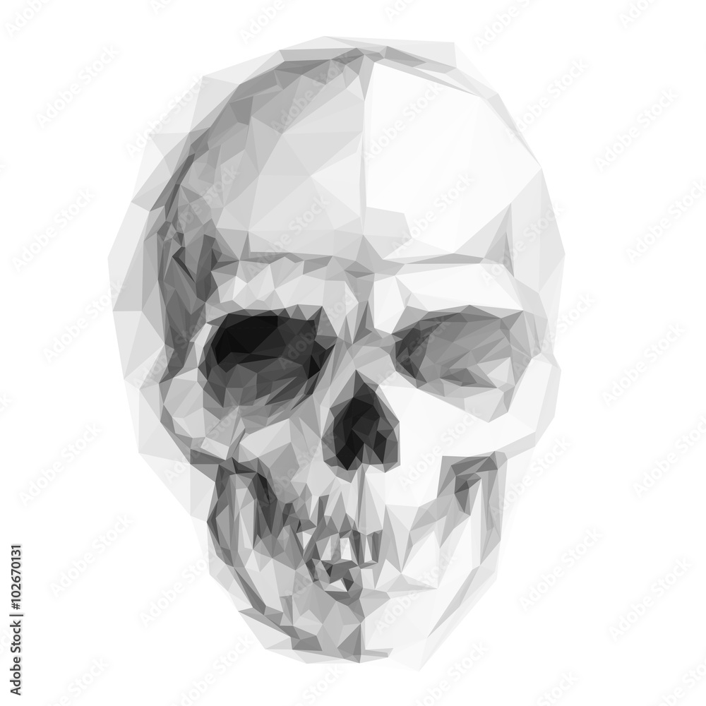 Wall mural Skull sketch