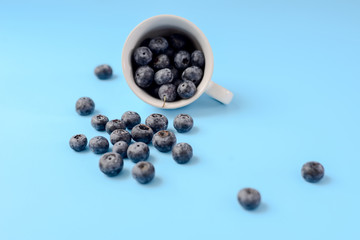 Blueberries in white cup on blue background.