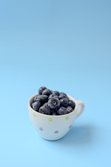 Blueberries in white cup on blue background.