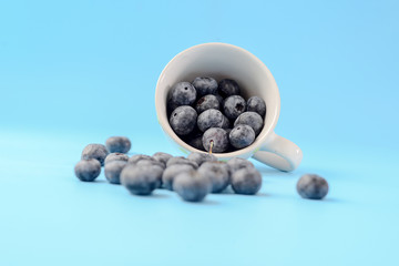 Blueberries in white cup on blue background.