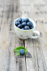 fresh blueberries