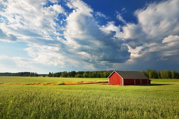 Panoramic view of the agricultural field, forest, wooden warehouse. Sweden. Traditional...