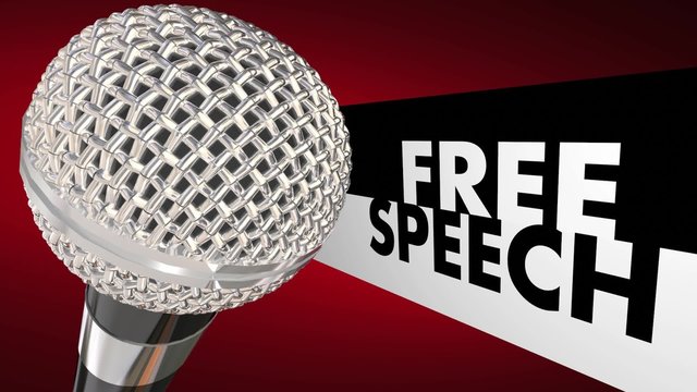 Free Speech Rights Microphone Freedom Expression