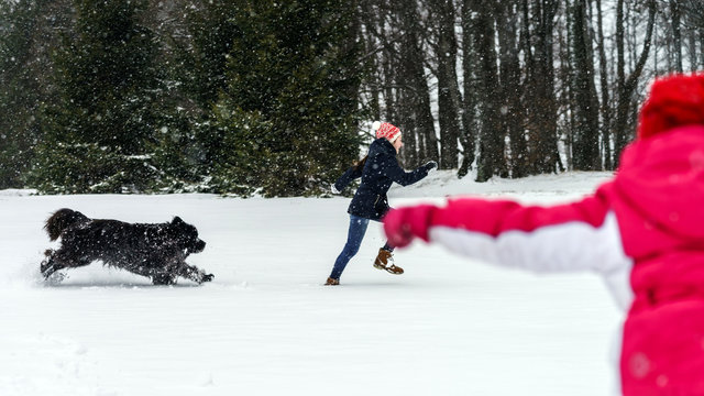 Two sisters playing in snow with newfoundlander dog