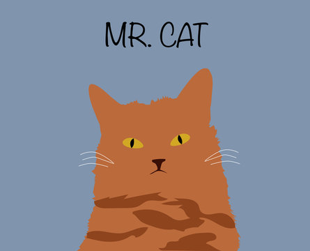 Mr. Cat; Orange Sketch Cat Cartoon