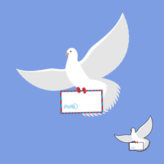 Postal pigeon and mailing envelope. White Dove carries and mail.