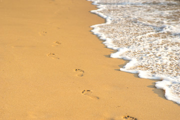 Footprints of alone walker on the golden sand on the shore of the sea, white sea-foam on the wave