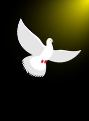 White dove flies in dark on divine light. Magical glow and white