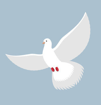 White Dove. Flying White pigeon. Bird with wings. White blue sym