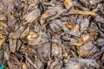 A lot of banana peel on concrete floor - rotten food background.- Close up of black banana peel 
many banana peels in the composter for humus for organic agriculture
