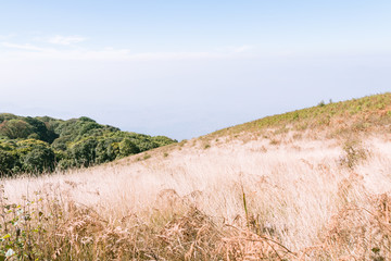 Kew mae pan nature trail at Doi Inthanon national park ,Chiangma