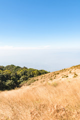 Kew mae pan nature trail at Doi Inthanon national park ,Chiangma