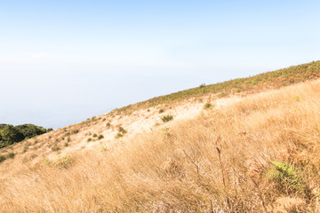 Fototapeta premium Kew mae pan nature trail at Doi Inthanon national park ,Chiangma
