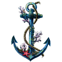 vintage sea anchor with shell, coral, isolated watercolor object © lnsdes