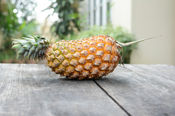 Pine apple.
