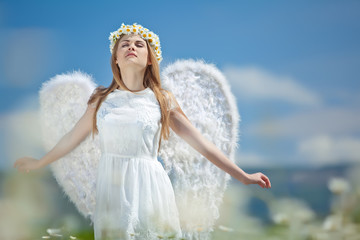 woman with wings in a camomile field 