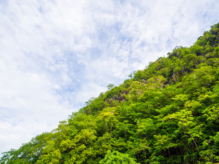 Fototapeta na wymiar Green mountain landscape