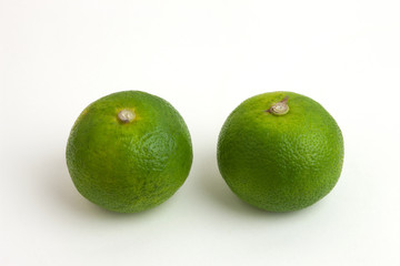 紅葉したカエデの木