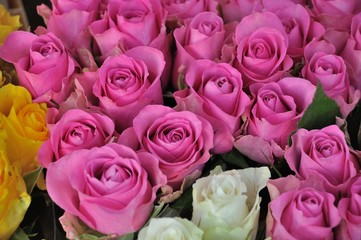 A colourful display of roses outside a  florist.