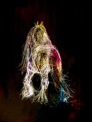 Draw pencil horse, original hand draw on black background, invert effect.