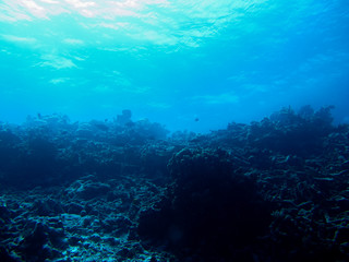 coral reef silhouette in the deep and dark blue sea, Pacific Ocean