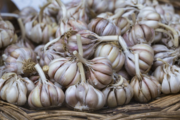 fresh garlics in a market