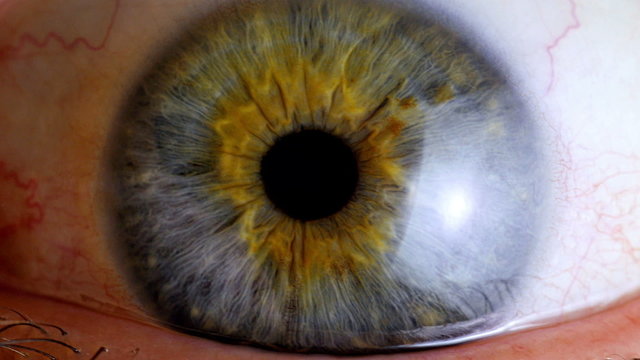 Human eye iris contracting. Extreme close up. 
