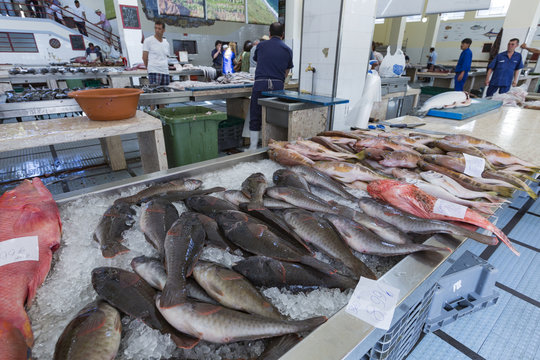 FUNCHAL, PORTUGAL - JUNE 25: Fresh fish in Mercado Dos Lavradore