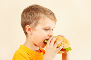 Little cut boy eating a tasty sandwich