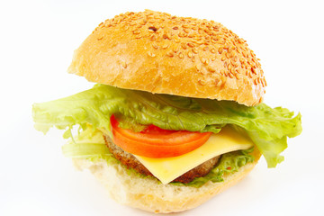 Great flavorful sandwich with cheese and chop on a white background